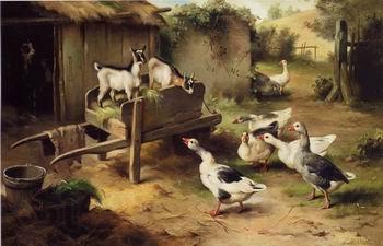 unknow artist Poultry 076 Germany oil painting art